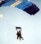 Gray Canopy.jpg
